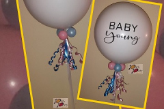 Baby_Reval_XL_HWh
