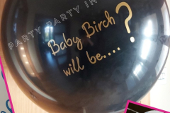 Baby_Will_Be