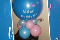 Boy-or-Girl2