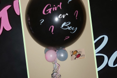Boy_or_Girl